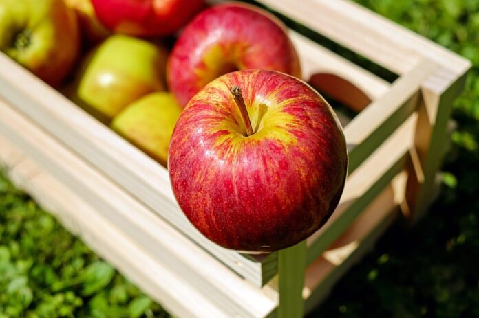 Top 10 organic food retailers in Norway by market share