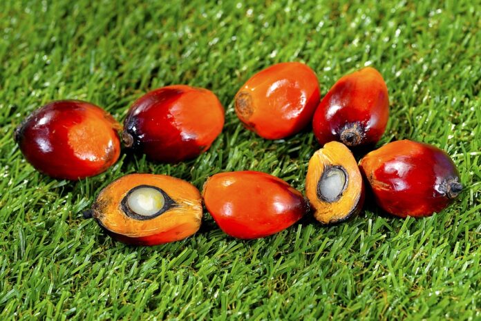 Top 10 palm oil import companies in Germany