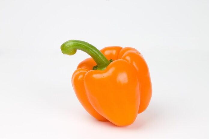 Top 10 paprika brands in Brazil