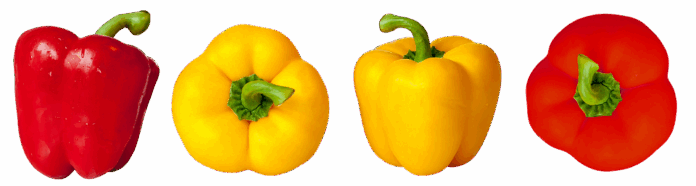 Top 10 paprika brands in Spain