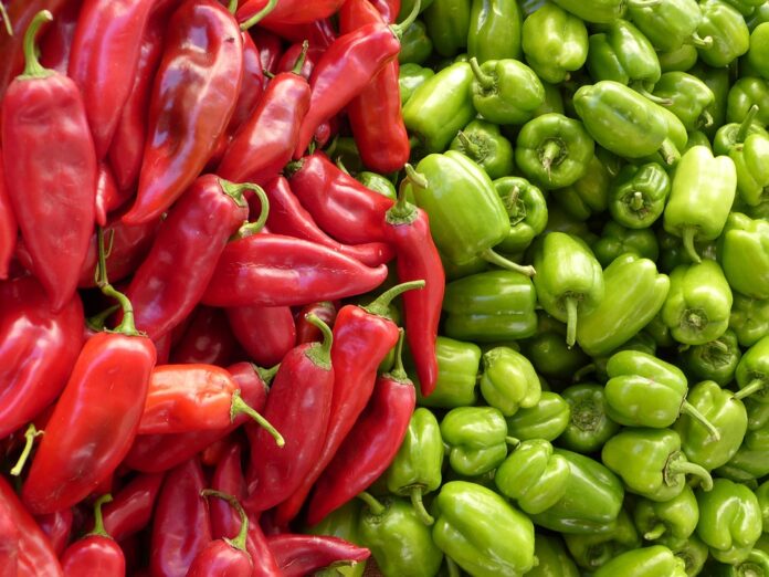 Top 10 paprika export companies in South Africa