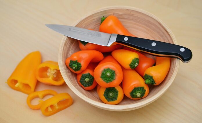 Top 10 paprika export companies in Spain