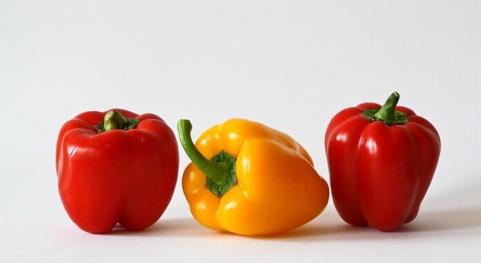 Top 10 paprika export companies in the United States