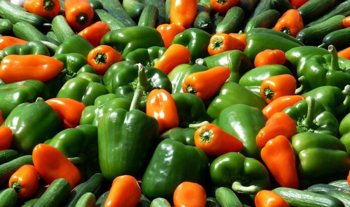 Top 10 paprika import companies in Canada