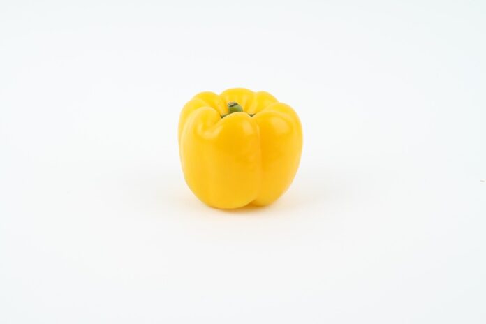 Top 10 paprika import companies in France