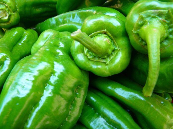 Top 10 paprika import companies in South Korea