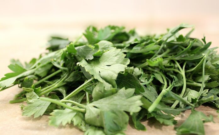 Top 10 parsley brands in France