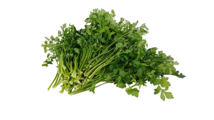 Top 10 parsley brands in Germany