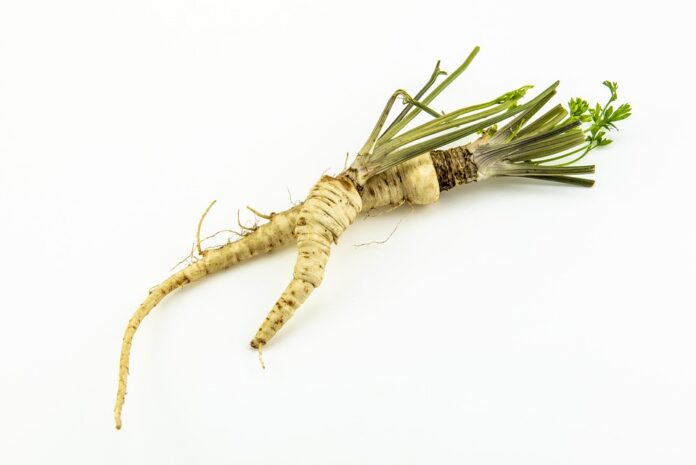 Top 10 parsley brands in India