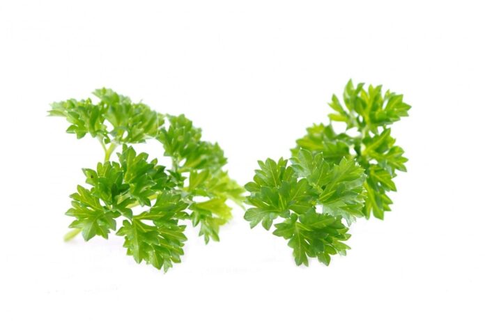 Top 10 parsley brands in Iran