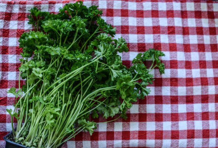 Top 10 parsley import companies in Saudi Arabia