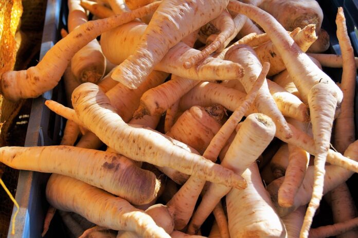 Top 10 parsley importing countries in the world in 2025