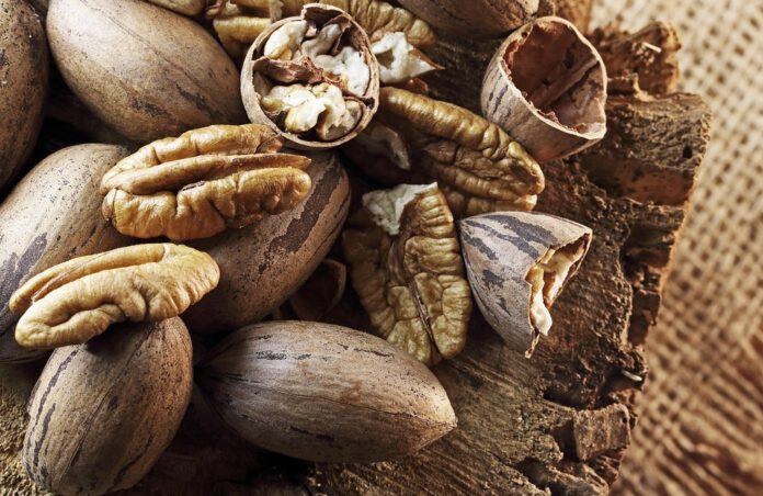 Top 10 pecan brands in Australia
