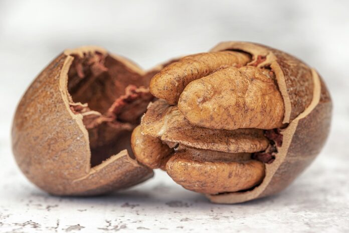 Top 10 pecan brands in Canada
