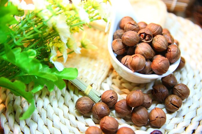 Top 10 pecan brands in China