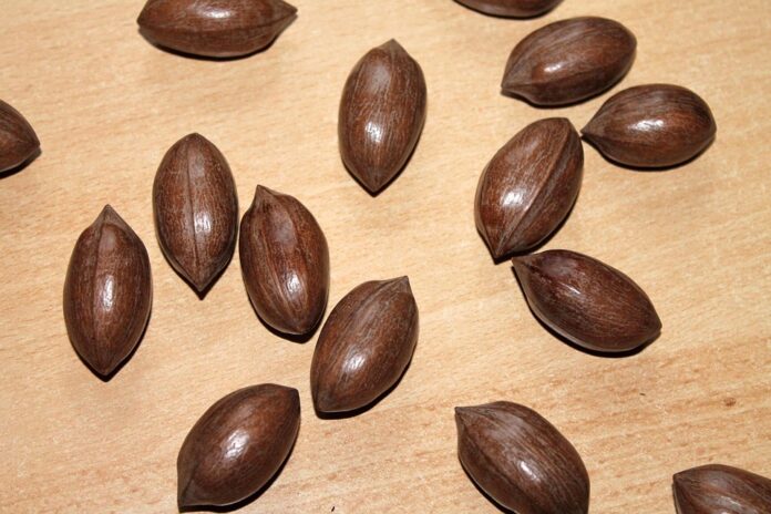 Top 10 pecan brands in South Korea