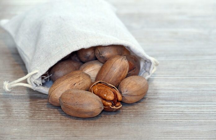 Top 10 pecan brands in the United States