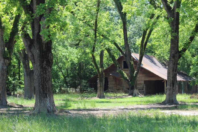Top 10 pecan export companies in Brazil