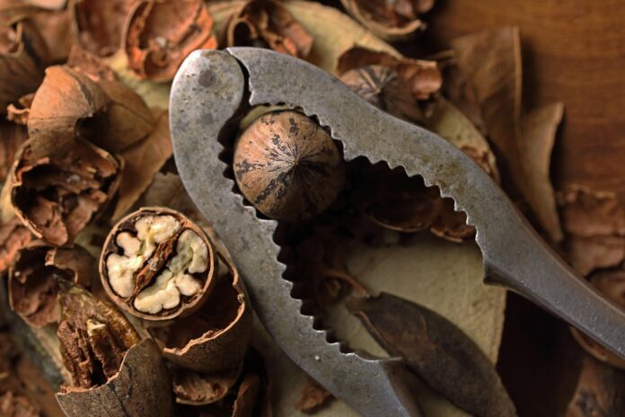 Top 10 pecan producing countries in the world in 2025