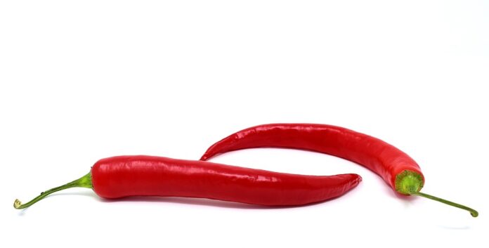 Top 10 pepperoni brands in the United States