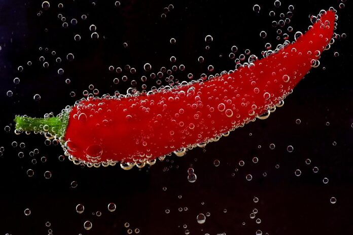 Top 10 pepperoni import companies in France