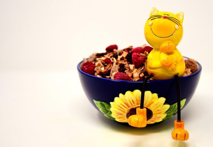 Top 10 pet food producers in Thailand