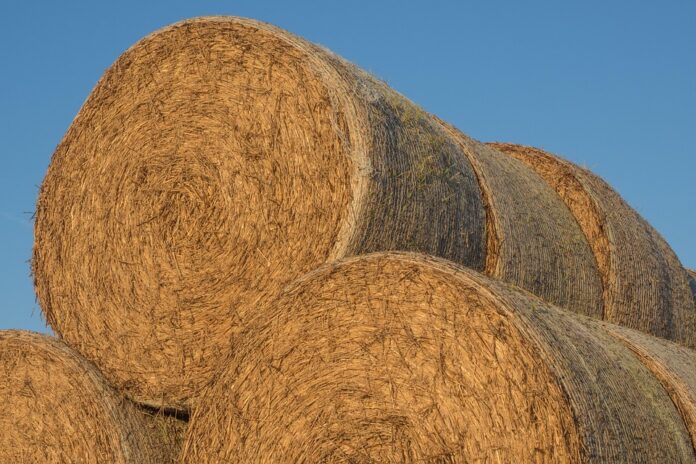 Top 10 pet food producers in the United Kingdom