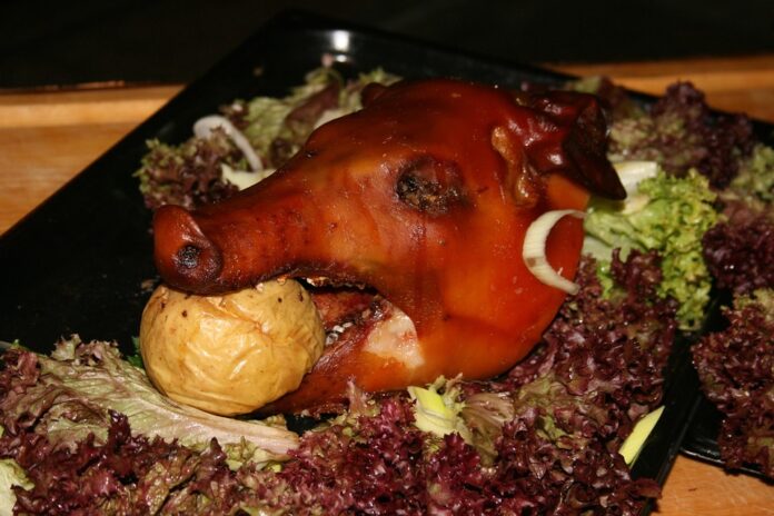 Top 10 pig food producers in Brazil