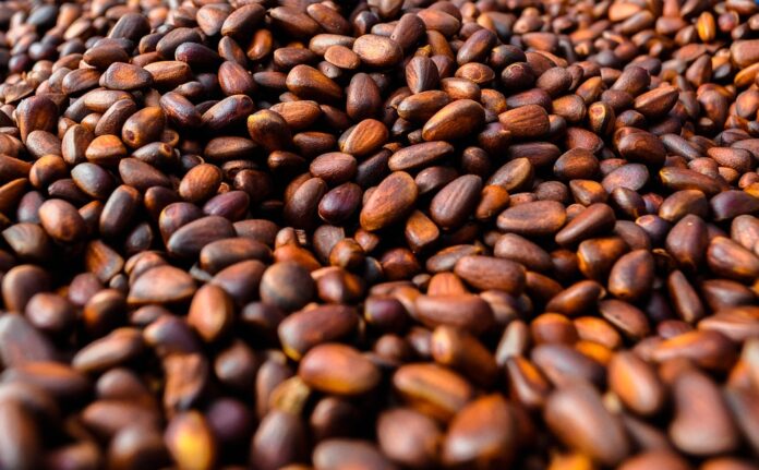 Top 10 pine nut brands in China