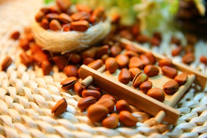 Top 10 pine nut export companies in India