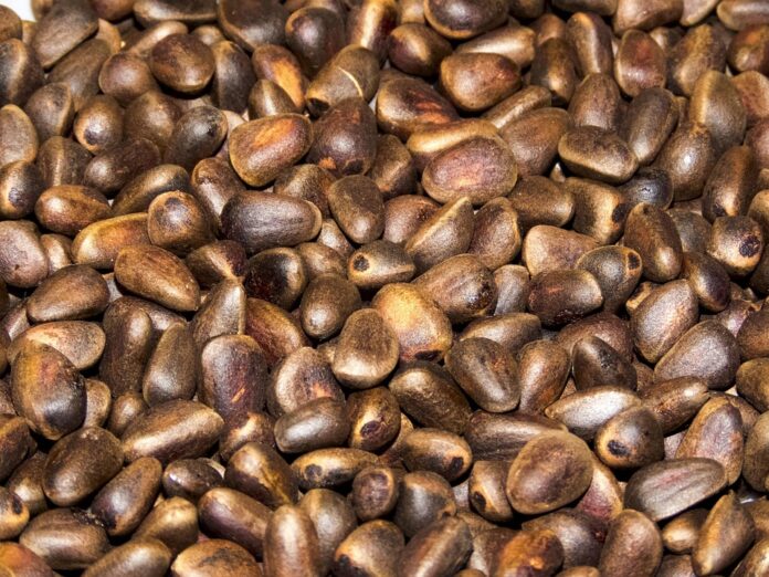 Top 10 pine nut import companies in Italy