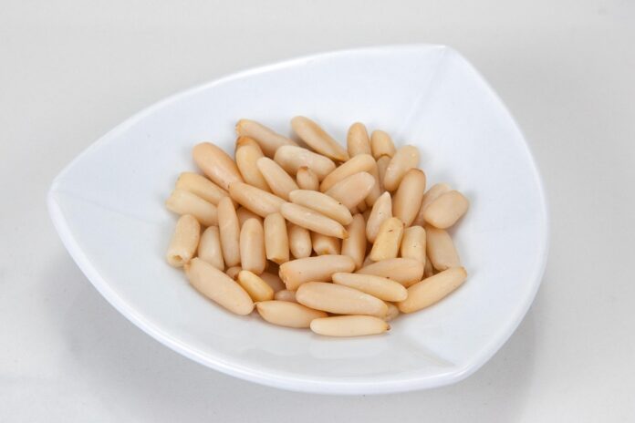 Top 10 pine nut producing countries in the world in 2025