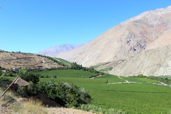 Top 10 pisco import companies in Australia