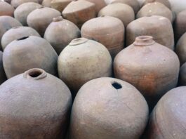Top 10 pisco import companies in Japan