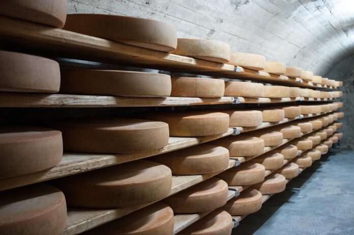 Top 10 plant based cheese brands in Australia