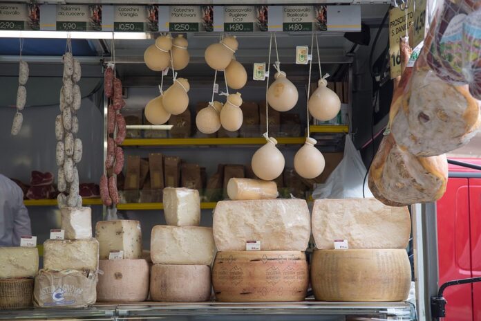 Top 10 plant based cheese brands in Canada