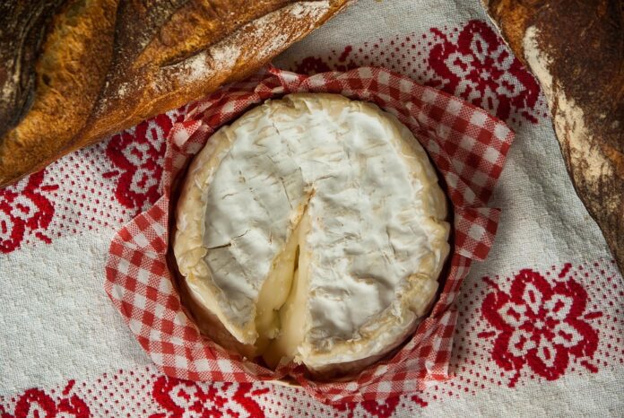 Top 10 plant based cheese brands in New Zealand