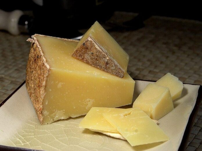 Top 10 plant based cheese import companies in Japan