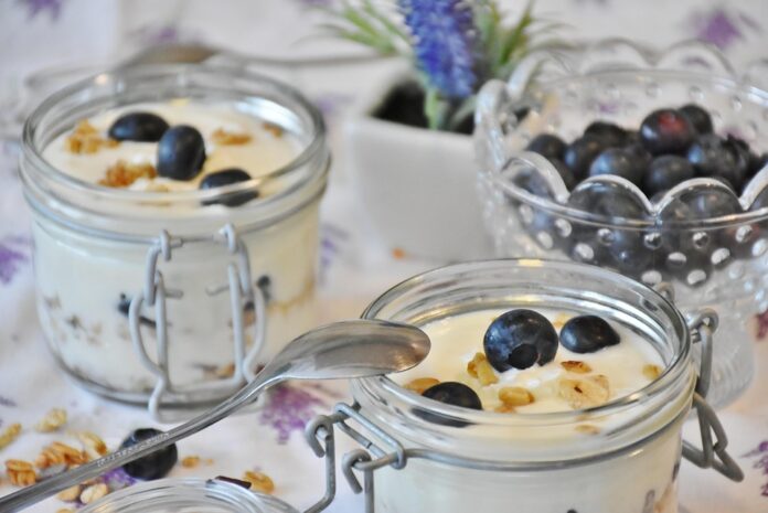 Top 10 plant based yogurt export companies in China