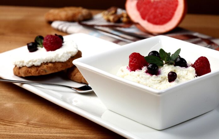 Top 10 prebiotic yogurt export companies in the Netherlands