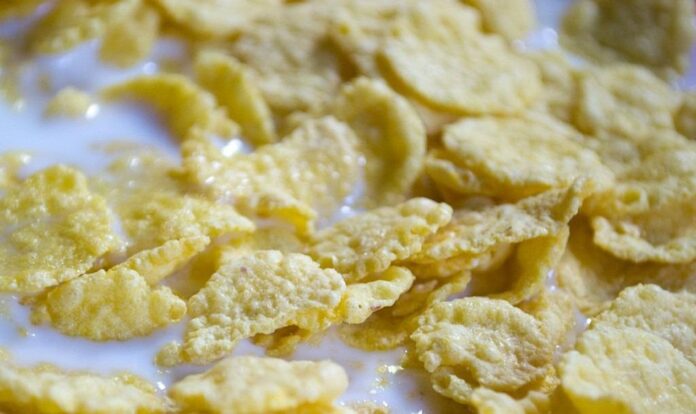 Top 10 premium breakfast food brands globally in 2025