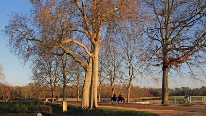 Top 10 private label chambord producers globally