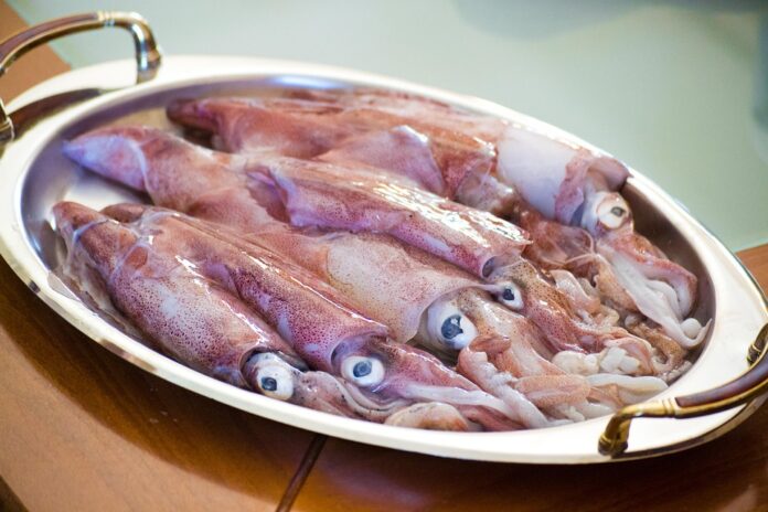 Top 10 private label fish food manufacturers globally