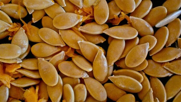 Top 10 pumpkin seed brands in France