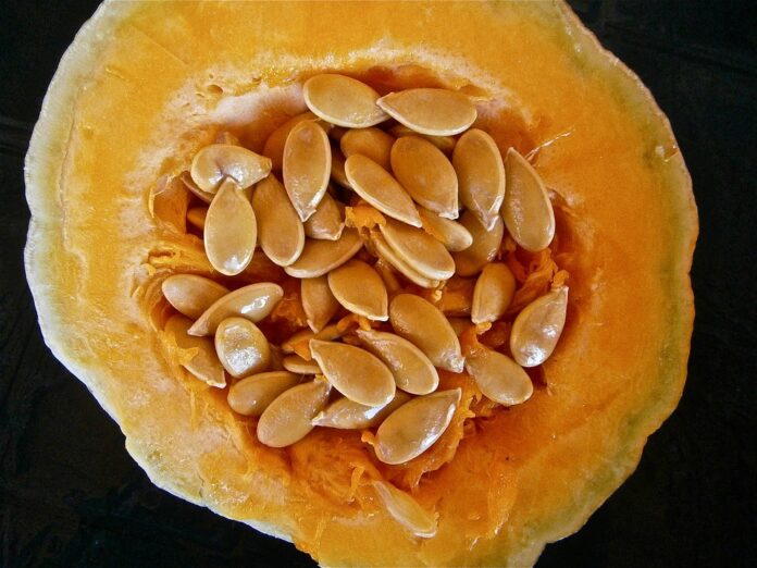 Top 10 pumpkin seed brands in Hungary
