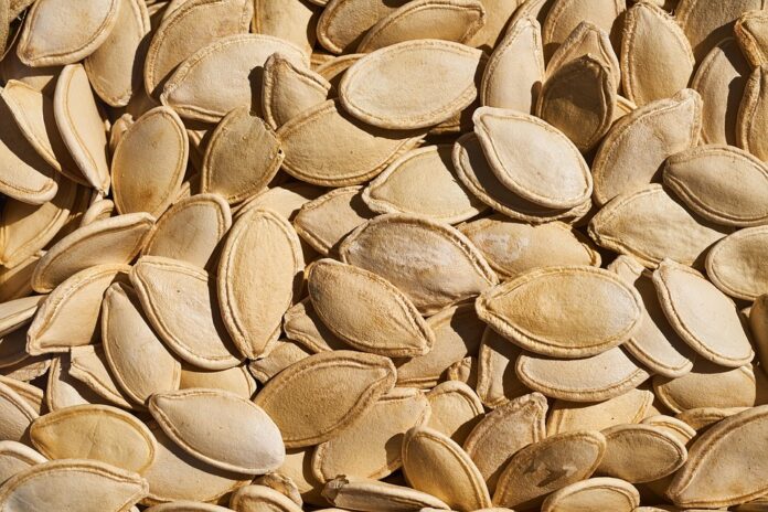 Top 10 pumpkin seed brands in the United States