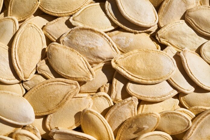Top 10 pumpkin seed export companies in Poland