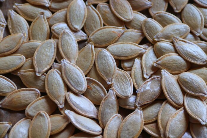 Top 10 pumpkin seed import companies in the United Kingdom