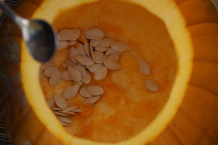 Top 10 pumpkin seed importing countries in the world in 2025