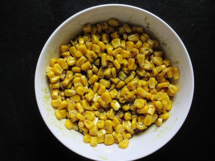 Top 10 pumpkin seed oil import companies in Netherlands
